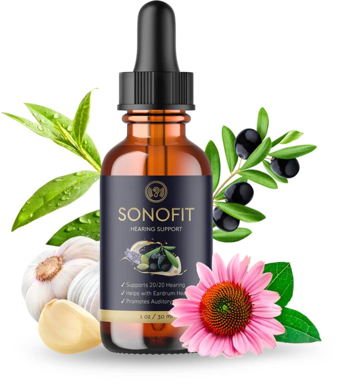 sonofit official